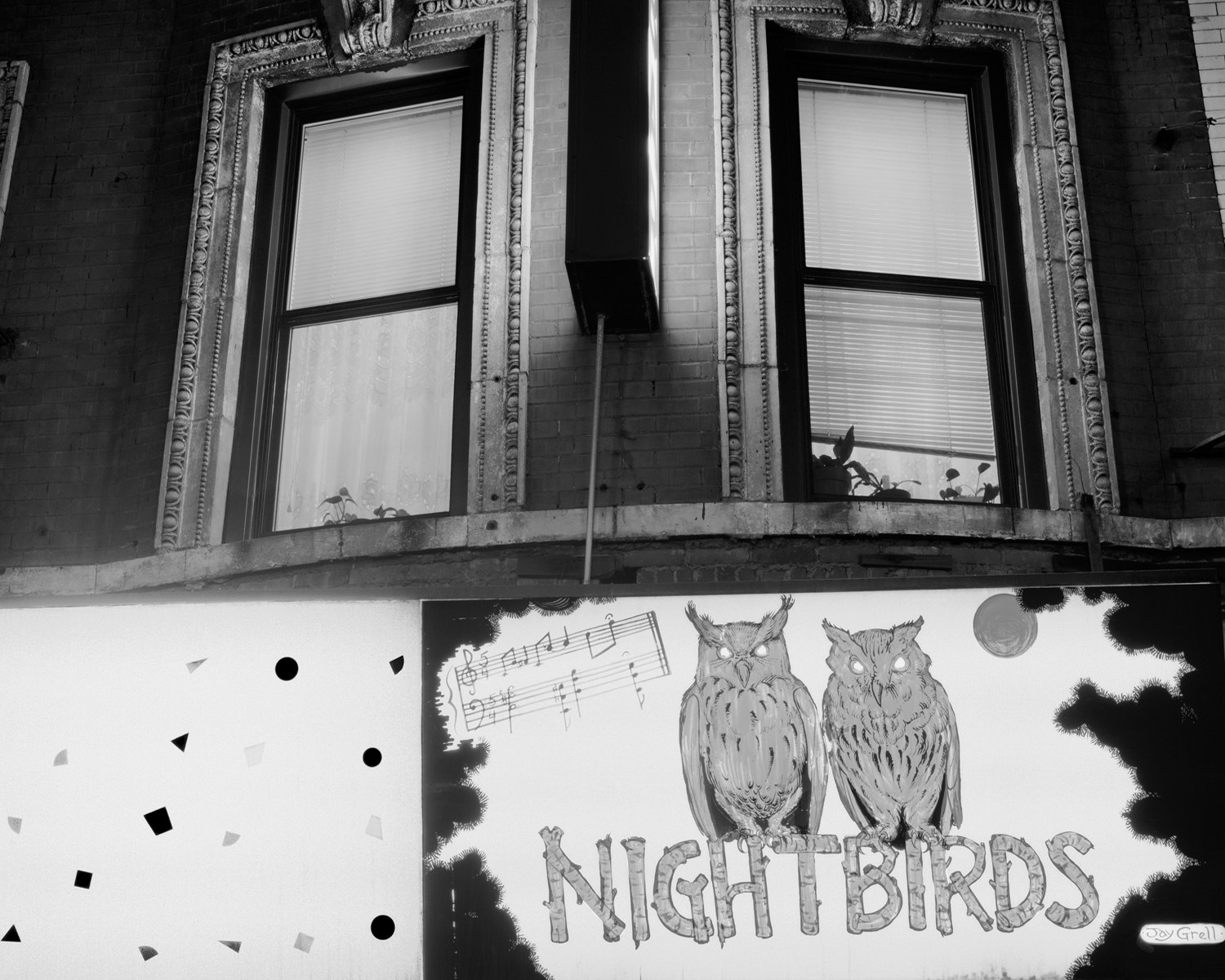 Nightbirds